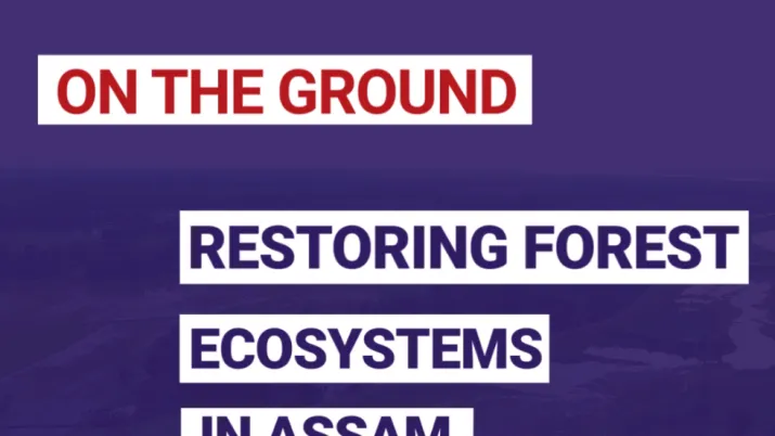 Restoring forest ecosystem in Assam