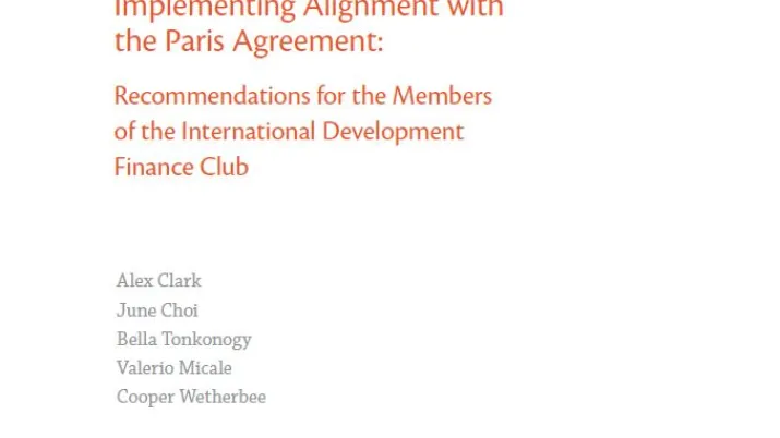 Implementing Alignment with the Paris Agreement: Recommendations for the Members of the International Development Finance Club