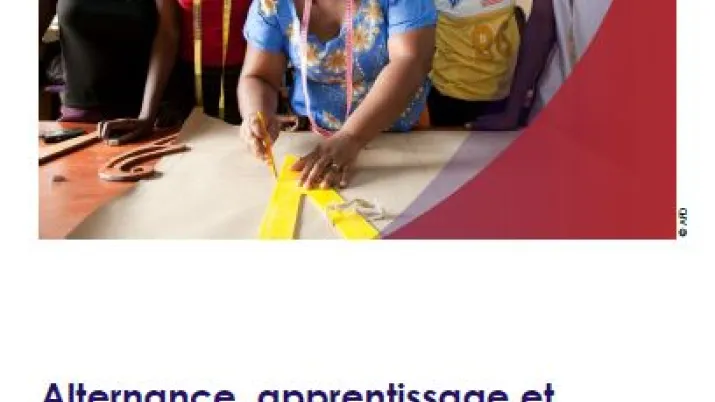 Alternance, apprentissage et professionnalisation