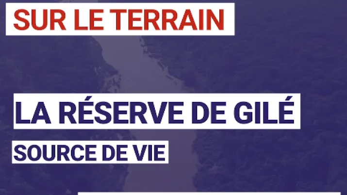 La réserve de Gilé : Source de vie au Mozambique