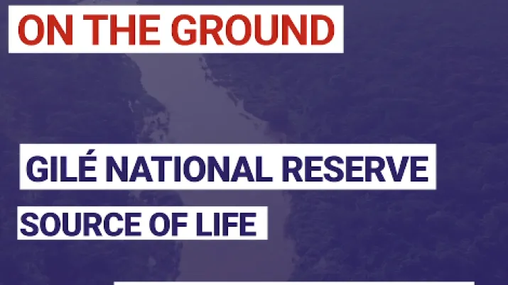 Gilé National Reserve : Source of life in Mozambique