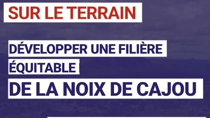 Développer une filière équitable de la noix de cajou au Mozambique