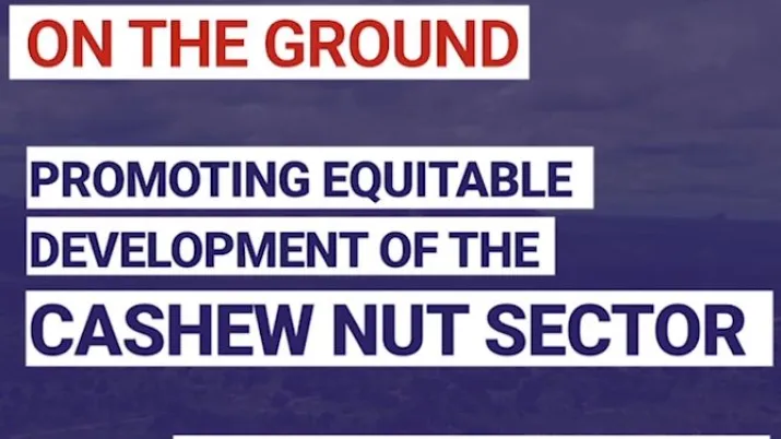 Promoting equitable development of the cashew nut sector in Mozambique