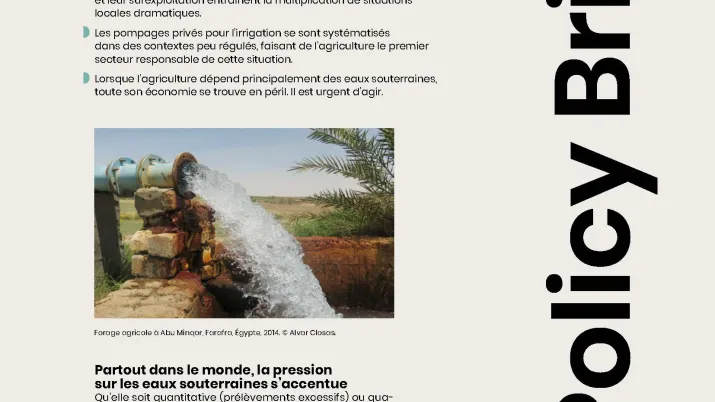 Couv Policy_Brief_3_FR