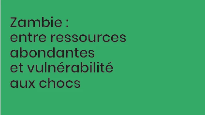 zambie-ressources-abondantes-vulnerabilité-chocs