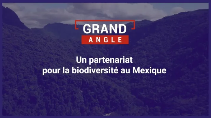 Un partenariat pour la biodiversité au Mexique