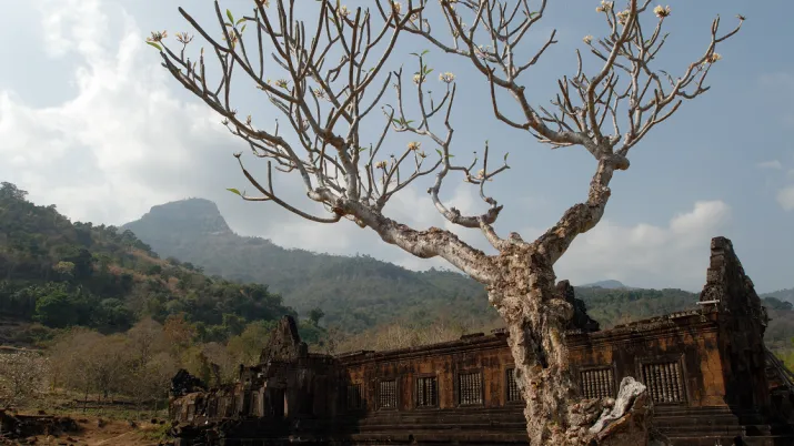 patrimoine laos afd