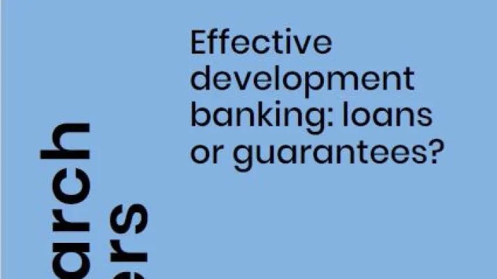 effective-development-banking-loans-guarantees