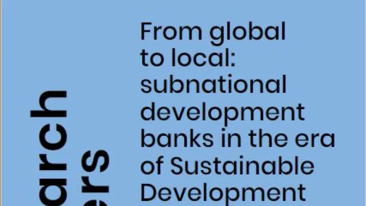 global-local-subnational-development-banks-sdg