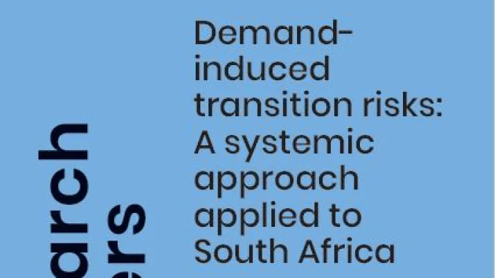 demand-induced-transition-risks-south-africa