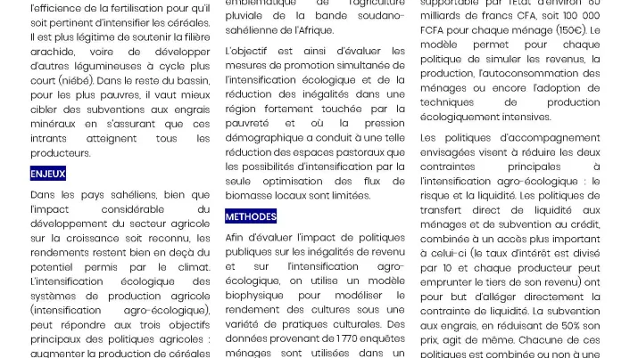Couv DPP 15