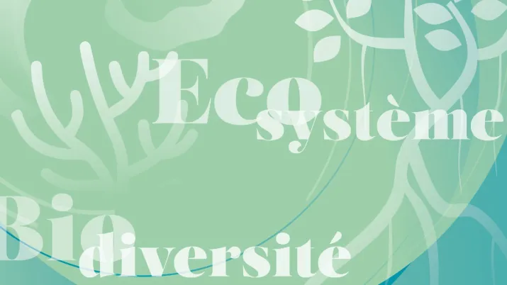 Projet biodiversite climat