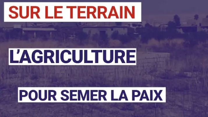 Irak : l'agriculture pour semer la paix dans la plaine de Ninive