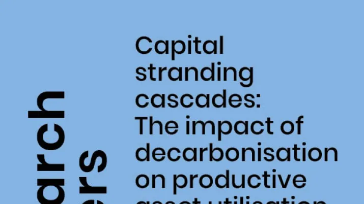 Capital stranding cascades_couv1