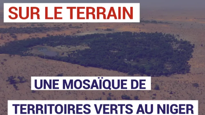 Une mosaïque de territoires verts au Niger