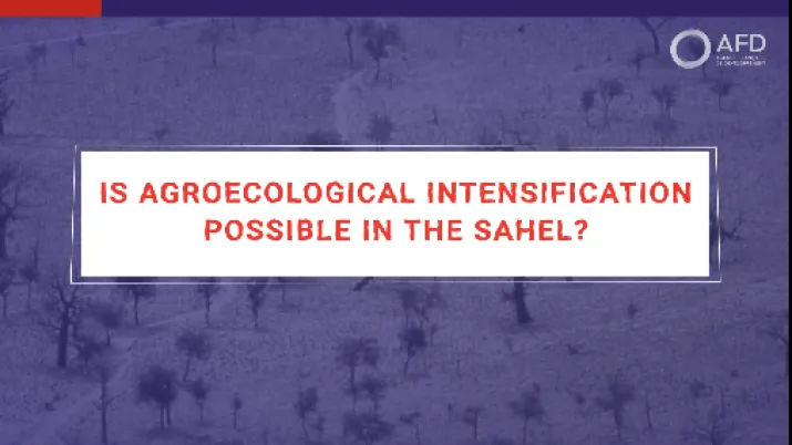 Is agroecological intensification possible in the Sahel?