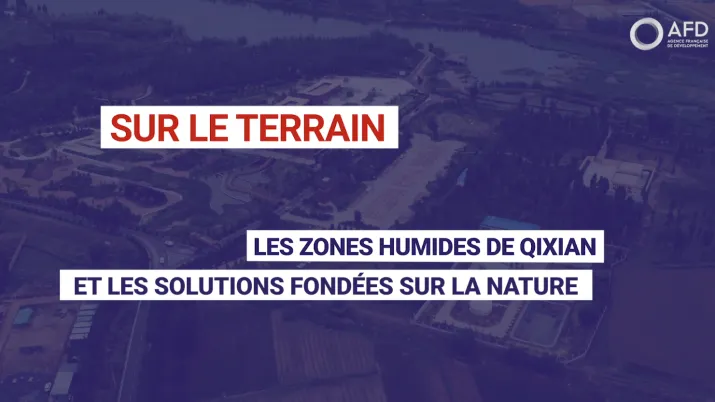 Les zones humides de Qixian et les solutions fondées sur la nature
