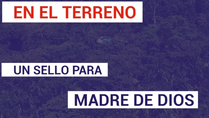 Un sello para Madre de Dios