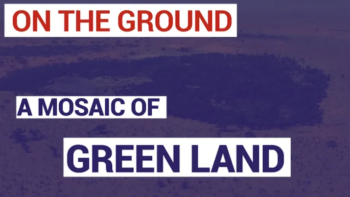A Mosaic of Green Land in Niger