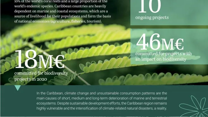 AFD and Biodiversity in the Atlantic Ocean