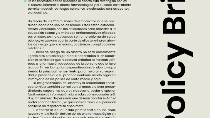 Policy Brief N°10 VE
