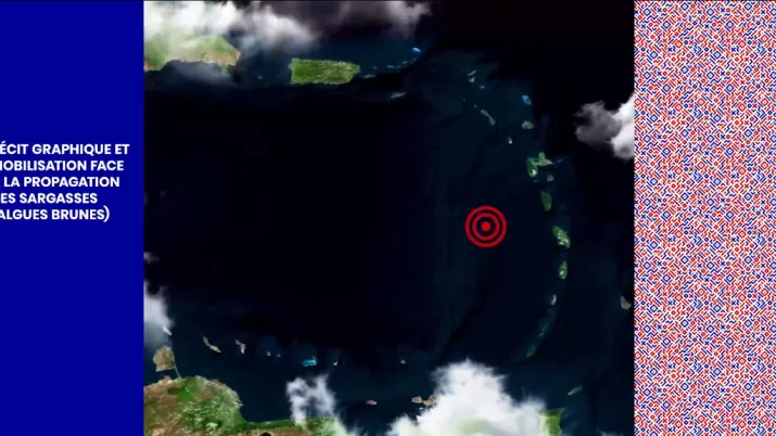 Arc Caribéen : Récits graphique et mobilisation face à la propagation des sargasses