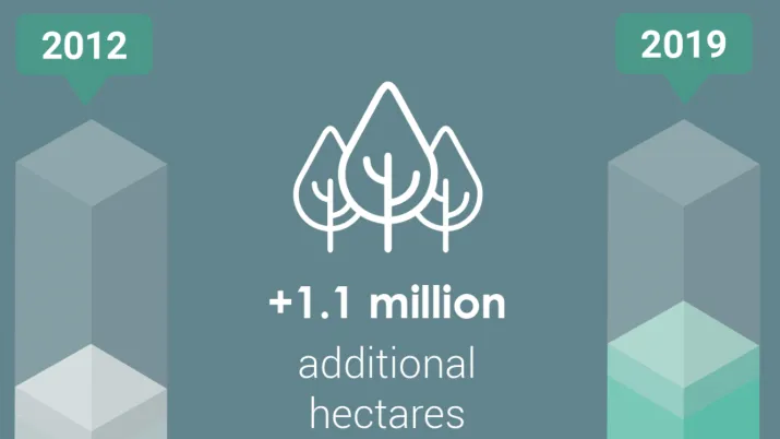 forest infographic