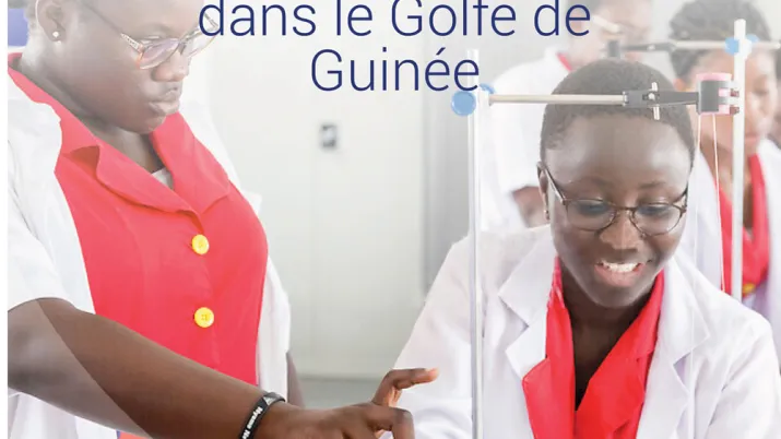 Le groupe AFD et l'Europe dans le golfe de Guinée