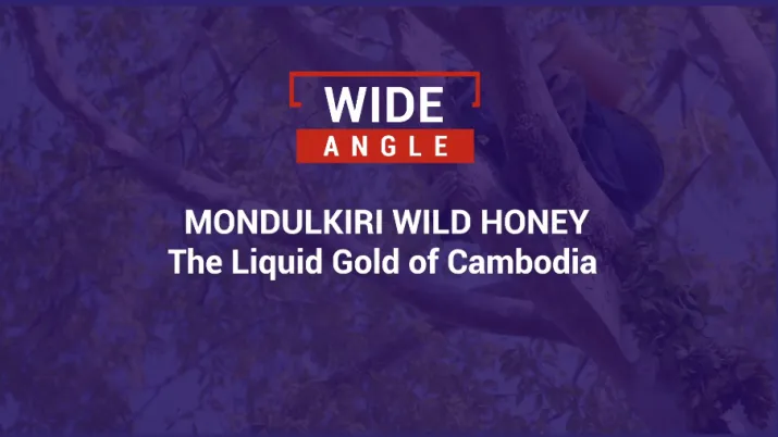 Cambodia Liquid Gold