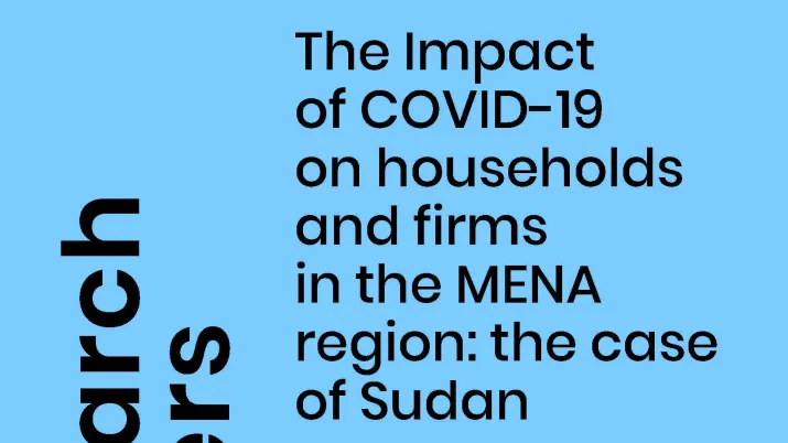 The Impact of COVID-19 on households and firms in the MENA region: the case of Sudan