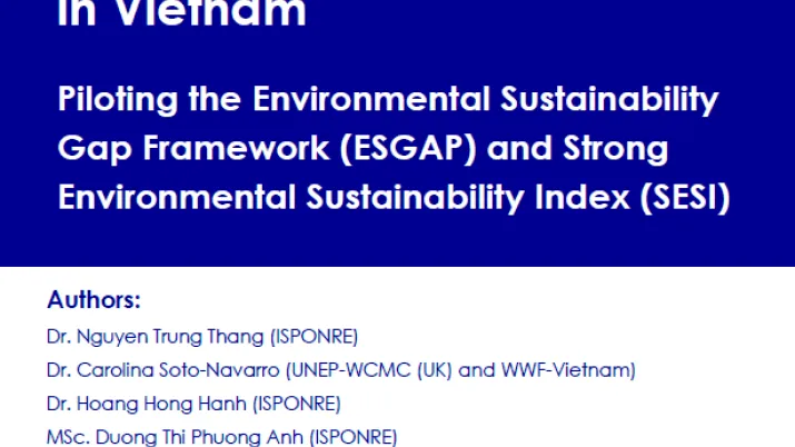 Série grise_ESGAP Vietnam Report_March 2023_Visuel