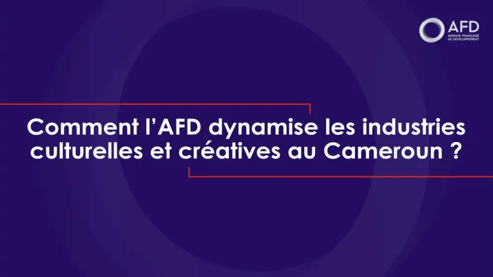 Culture au Cameroun