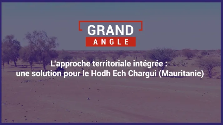 L'approche territoriale intégrée : une solution pour le Hodh Ech Chargui (Mauritanie)