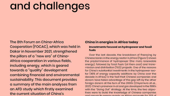 Greening China’s investments in Africa: issues and challenges