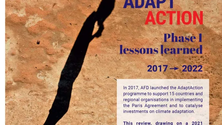 AdaptAction - Phase 1: Lessons learned