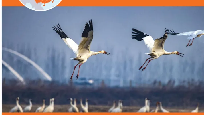 AFD and the protection of biodiversity in China