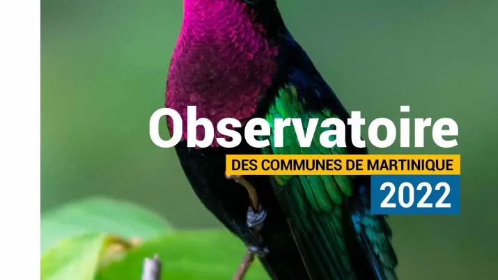 Observatoire des communes de Martinique 2022