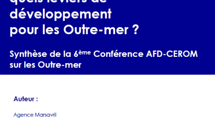 Couverture_Série grise_Recherche et innovation_Synthèse 6ème conf AFD CEROM