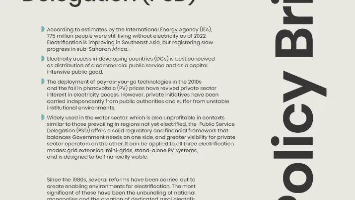 Universalizing and accelerating electricity access through Public Service Delegation