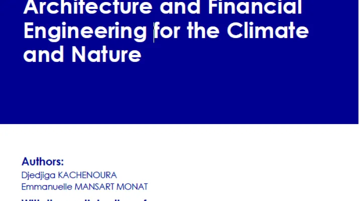 Vignette série grise architecture financière climat EN