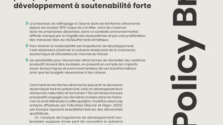 Couv PB DOM 15