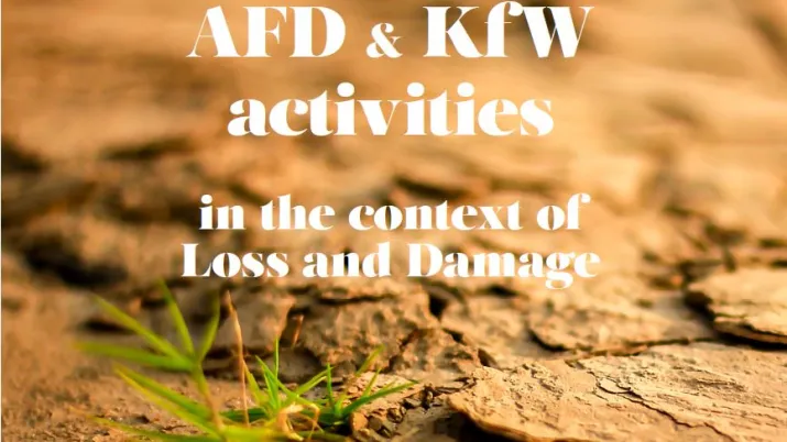 Position Paper Loss and Damage AFD and KfW
