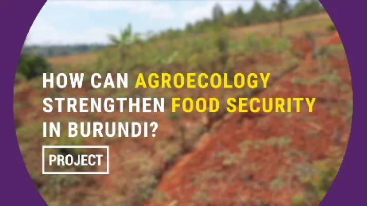 Burundi : comment l'agroécologie peut-elle renforcer la sécurité alimentaire ?