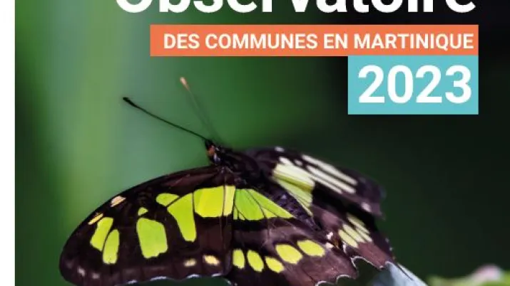 Observatoire des communes Martinique