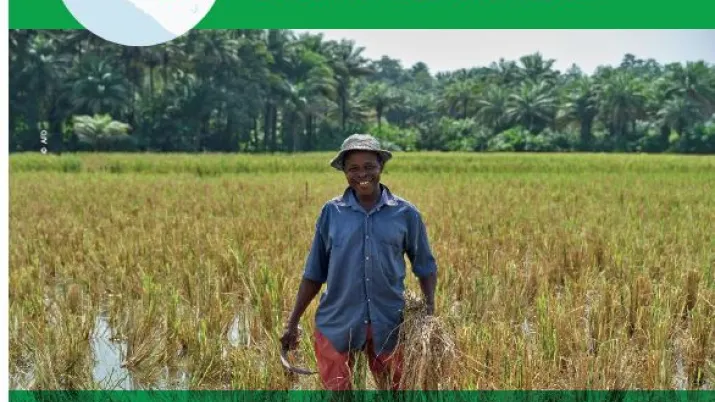 afd developpement rural guinee