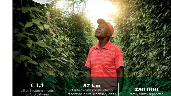 Capture- Page de couverture Fiche pays cameroun- EN.JPG