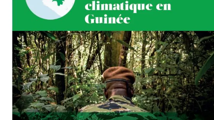 afdenvironnementclimatguinee