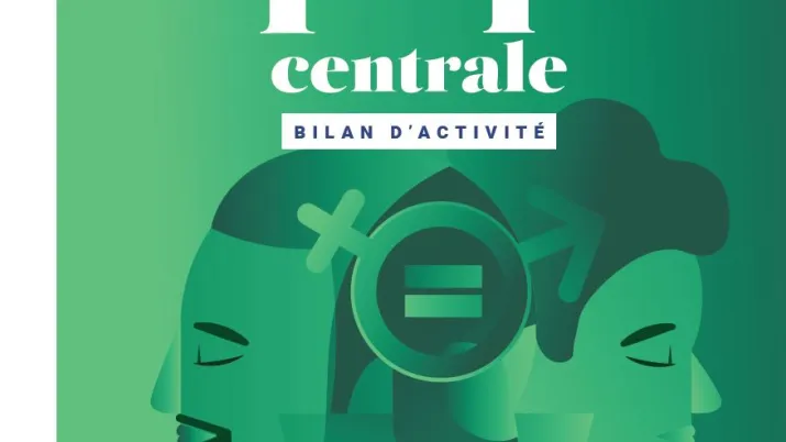 bilan afrique centrale afd