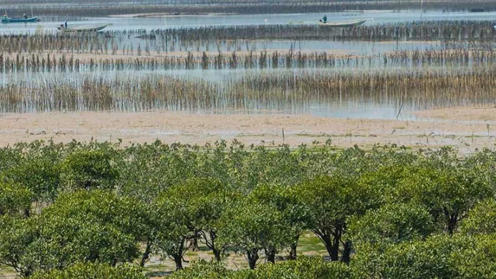 Le projet vise à soutenir la mise en place d’une gestion intégrée de la zone côtière de Fuding en Chine, conforme aux meilleures pratiques internationales, des hauts bassins versant aux écosystèmes côtiers de mangroves et jusqu’à la mer.