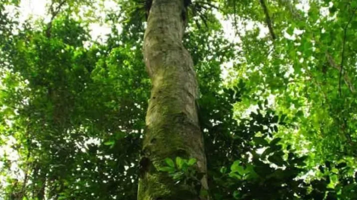 biodiversité